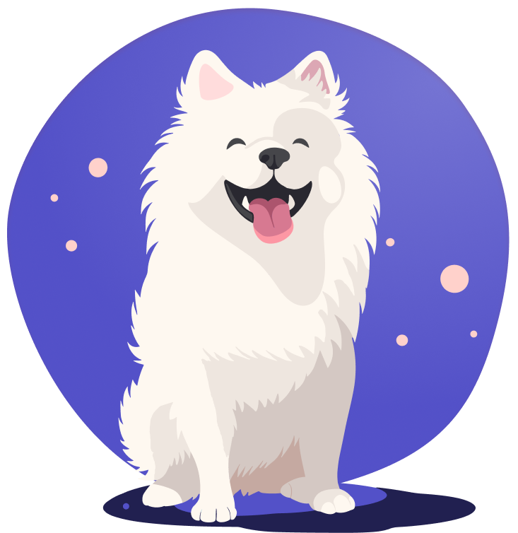 Un chien Samoyède content et souriant